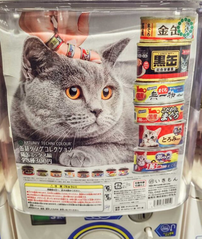 Various weird gachapon items like candy-shaped hats for cats, mini sushi conveyor belts, and rings shaped like cat food cans.
